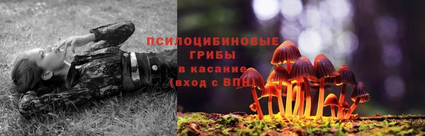 экстази Лиски